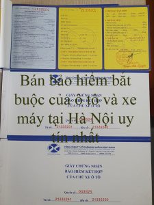 Ban Bao Hiem Bat Buoc