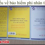 Tim Hieu Ve Bao Hiem Phi Nhan Tho La Gi